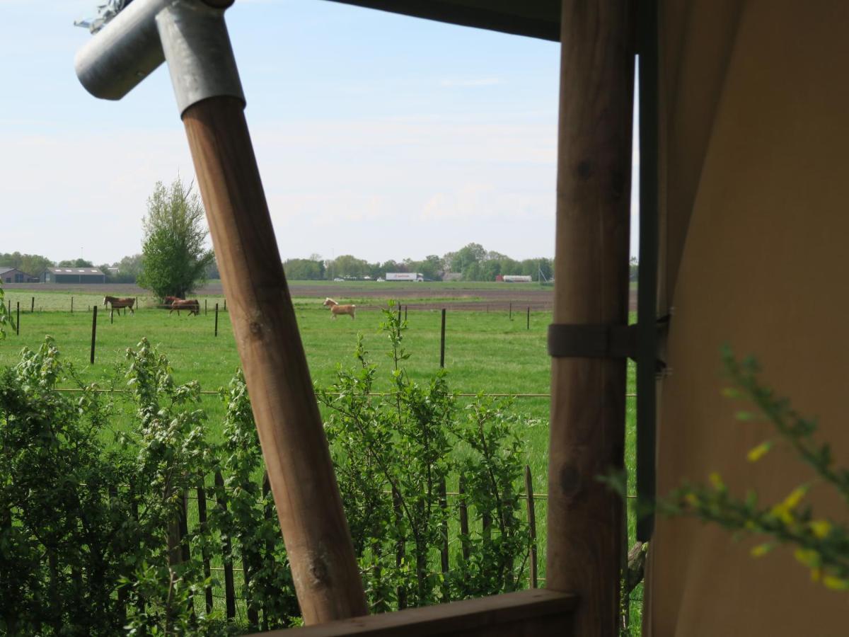Luxe Safaritenten Petit013 - Nieuw Tilburg Bagian luar foto