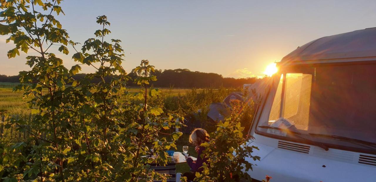 Luxe Safaritenten Petit013 - Nieuw Tilburg Bagian luar foto