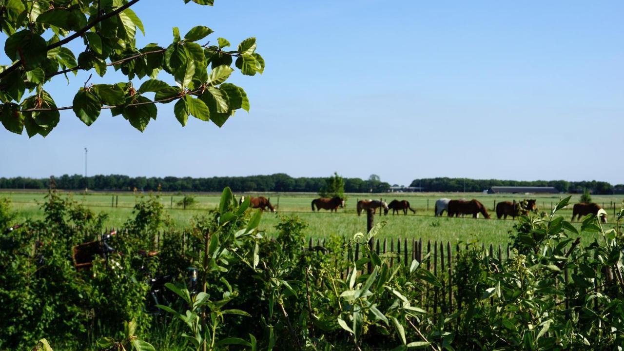 Luxe Safaritenten Petit013 - Nieuw Tilburg Bagian luar foto