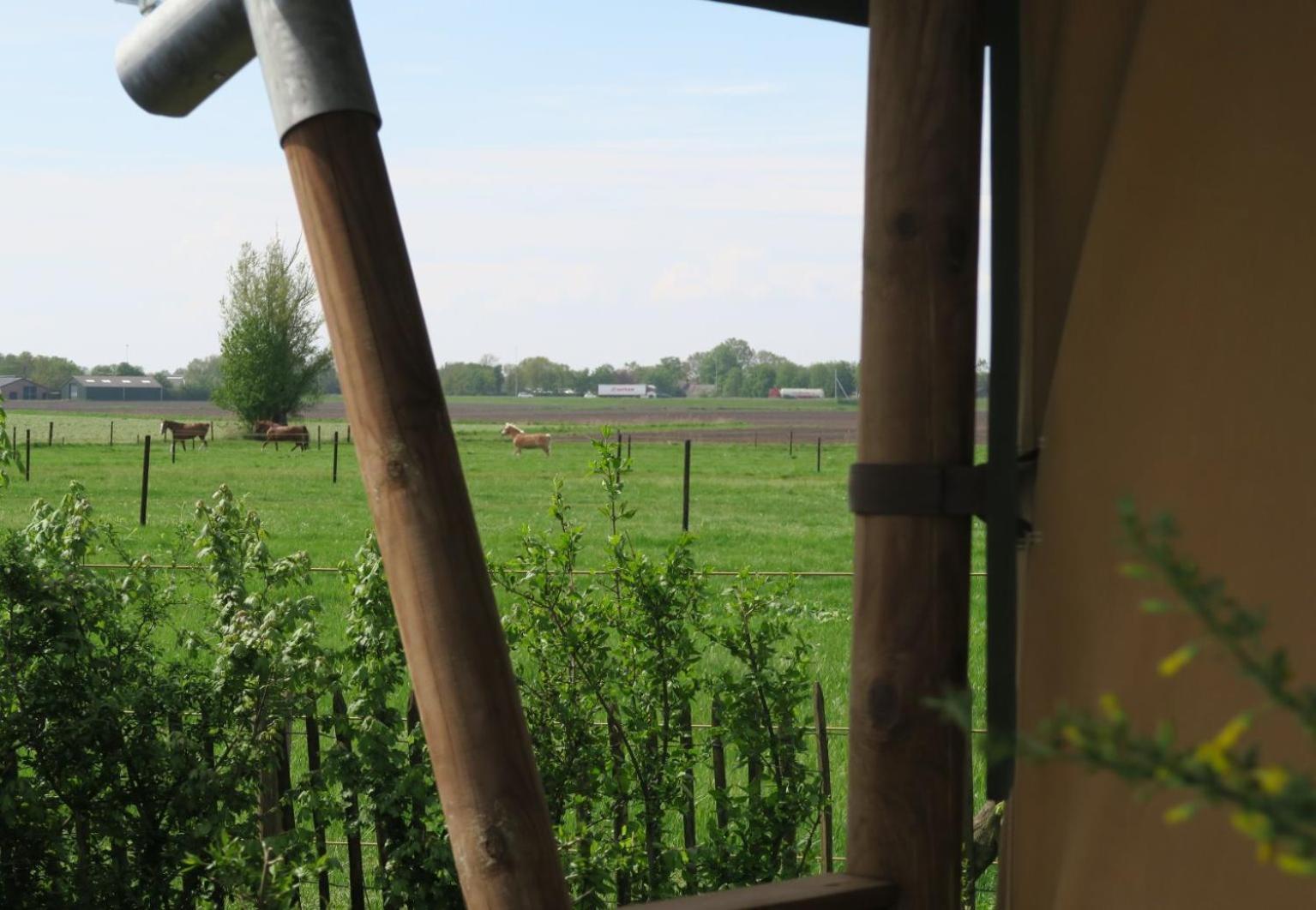 Luxe Safaritenten Petit013 - Nieuw Tilburg Ruang foto