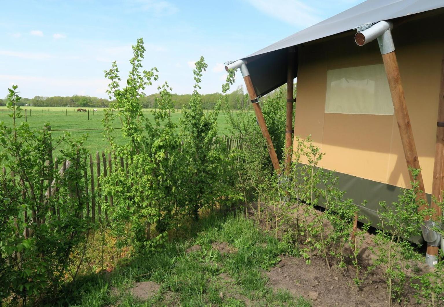 Luxe Safaritenten Petit013 - Nieuw Tilburg Ruang foto